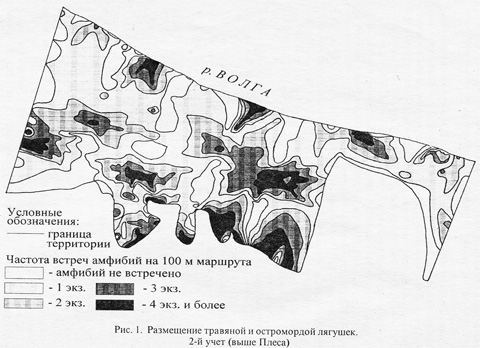 ����������� � �������������� � �����