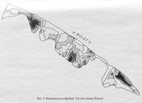 ����������� � �������������� � �����